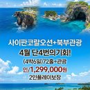 플레이오션(26) 이미지