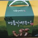 양양송이마트