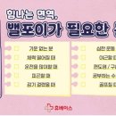 면역방