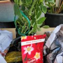 이룸민박 이미지