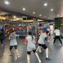 카이안 복싱 사상 GYM 이미지