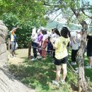 유적지로 만나는 한국사 이미지