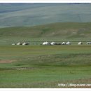 바얀불락 이미지