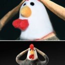 갓바위 맷돌 순두부 | #200812-15_지금까지 이런 여행은 없었다. 이것은 여름 휴가인가, 극기 훈련인가(1)