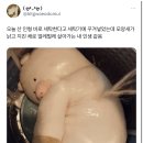 바로세탁 Daum카페