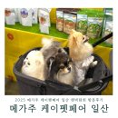 펫스타일 | 2025 메가주 케이펫페어 일산 펫박람회 주차 펫페어 방문후기