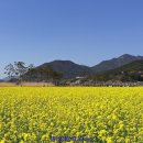 황산공원 이미지