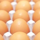 햇빛 좋은 PT 이미지