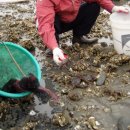 고사리민박 이미지