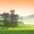 가마못공원 이미지