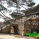 감포노인분회 이미지