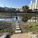 남천둔치1 이미지