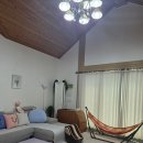 동산펜션 | 태안독채펜션 물댄동산 애견동반 후기