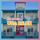 파랑모텔 | [강원 양양/하조대] 미국 감성 숙소 추천 “부커스 비치 호텔” 내돈내산 후기