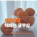 상한동경로당 | 제주감귤 택배판매 추천 귤부심 고당도 산지직송 타이벡귤