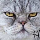 공감 이미지