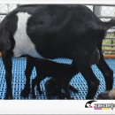 새로이농장 이미지