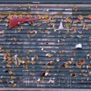 광고물협회-13 이미지