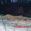 금곡대로 이미지