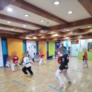 엘지태권도장 | 놀이처럼 즐기면서 집중하는 용호동태권도 LG메트로 태권도 후기