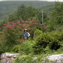 평리 마을회관 이미지