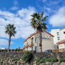 바다 위 언덕 | 제주 서귀포 오션뷰 숙소 바다위언덕 내돈내산후기