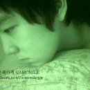 영우 Daum카페