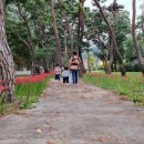 칠곡면신포숲 이미지