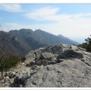 부적농협주유소 이미지