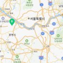 스타일독앤캣 강아지고양이 부천본점 이미지