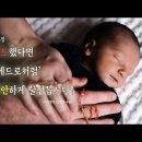 ﻿[살아나서 살리는 교회] 5월 23일 주일 예배 설교 '사도행전 12장 강해' - 기도했다면 '베드로처럼' 평안하게 꿀잠듭시다! 이미지