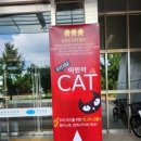 어린이 CAT | 어린이 뮤지컬 CAT 관람후기