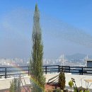 메종커피