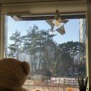 커피볶는모카곰