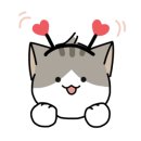 토브동물병원 이미지