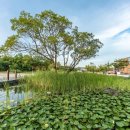 분성로261번길 이미지