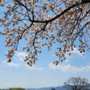 대릉원스테이 이미지