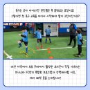 위너스타 이미지