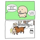 종로-신영-종로-영-302 | 3월 폭싹 삭았수다