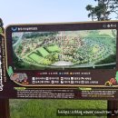 솔밭캠핑장 | [국내 여행] 별빛이 내리는 충주 목계 솔밭 캠핑장 D 구역 후기