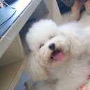 순이PC 이미지