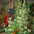 성전2호 이미지