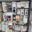 수영게임랜드 이미지