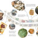 서촌 공중화장실 이미지