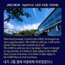 118:5 Daum카페