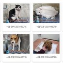 포인사이트 이미지