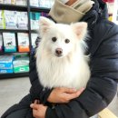 쥬라기동물병원 이미지