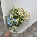 선우헤어 | Wedding 7 : 더페트라 헤어 변형 선우 부원장님 내돈내산 강추 후기