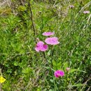 의료법인 대한불교조계종 승려복지 아미타불교요양병원 이미지