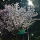 나들이 간 도서관 이미지